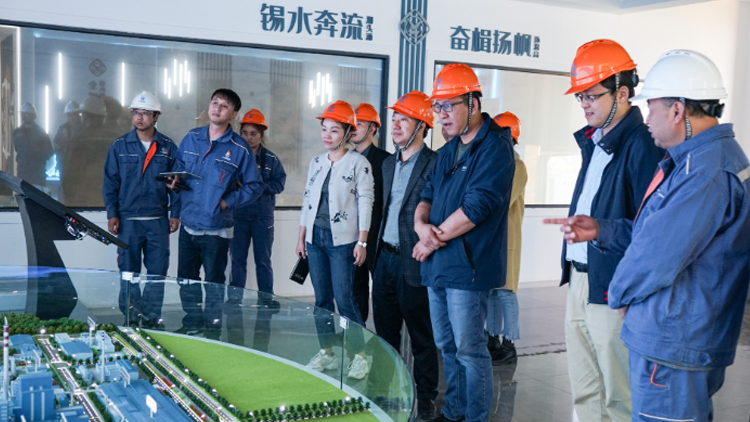 喜訊！云南錫業(yè)股份有限公司錫業(yè)分公司信息化智能化建設(shè)項目全面通過驗收
